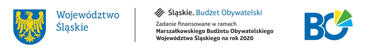 Zadanie w ramach Marszałkowskiego Budżetu Obywatelskiego Województwa Śląskiego na rok 2020