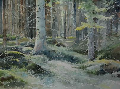 pejzaż lasu w kolorach zielonych. Wiele drzew w kolorach szarości, zielona trawa.