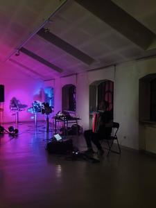 Półmrok. Występ akordeonisty.