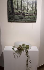Fotografia zielonego, gęstego lasu, poniżej na postumencie ułożona forma szklna, owalna, biała z otworem, w którym umieszczono suszone kwiaty hortensji i bluszcz